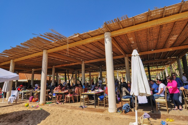 Edde Sands on Sunday
